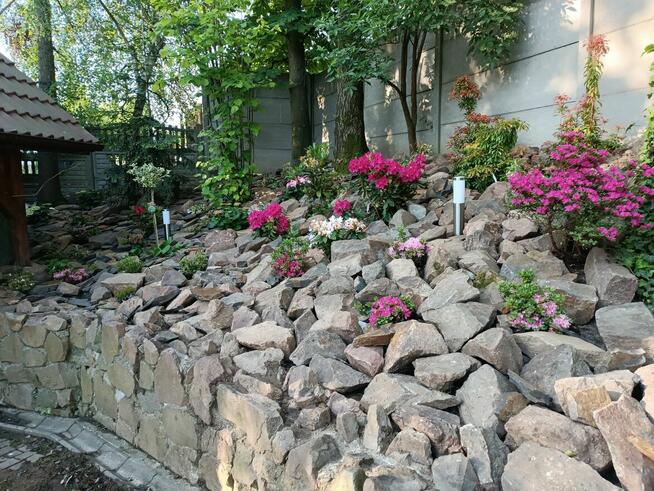 Usługi Ogrodnicze - Kraków i okolice