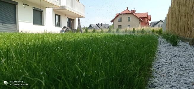 Usługi Ogrodnicze - Kraków i okolice