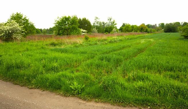 Działka budowlana z warunkami zabudowy