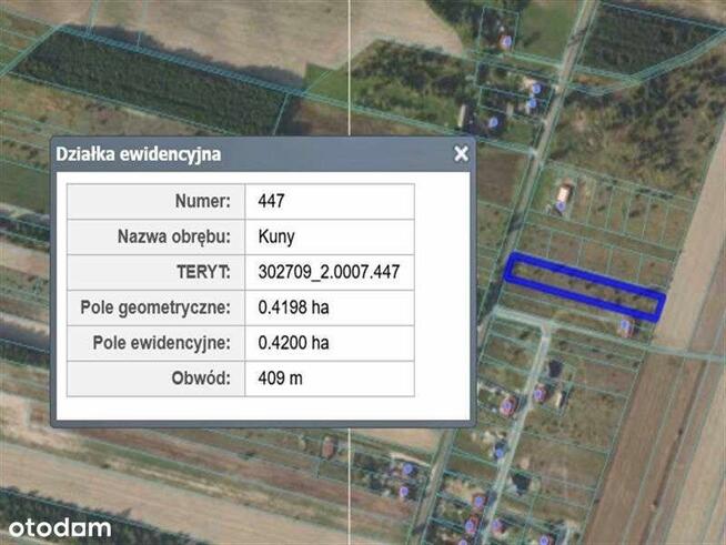 Sprzedam działkę inwestycyjną, Kuny
