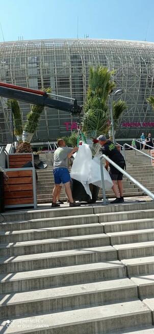 Usługi Ogrodnicze - Kraków i okolice