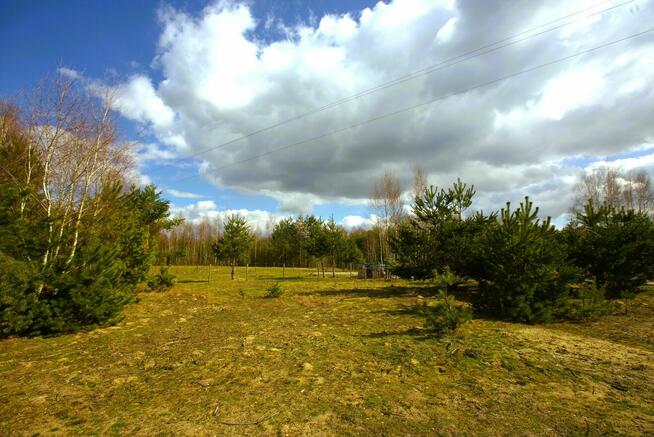 Działka w Machowej