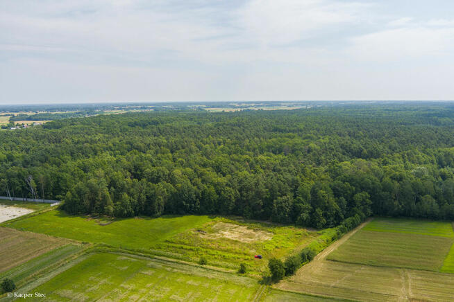 Działka leśna blisko zalewu w Narożnikach