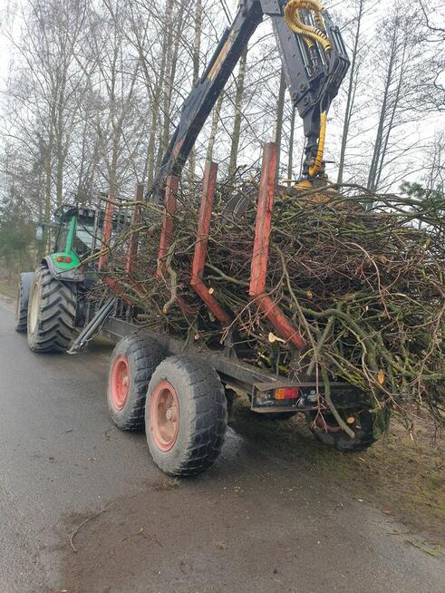 Wycinka oraz Pielęgnacja Drzew. Podnośnik Koszowy.