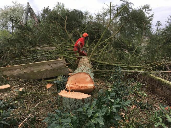 Wycinka Drzew, Podnośnik Koszowy, Prace Ogrodnicze,