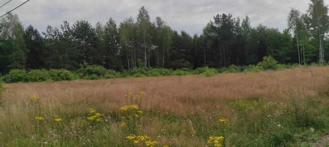 Sprzedam lub zamienię działki rolne i budowlane