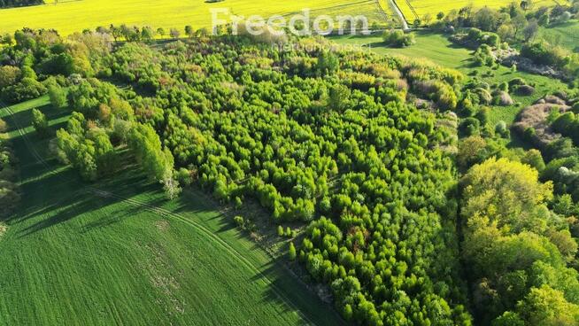 Duża działka z WZ oraz linią brzegową jeziora