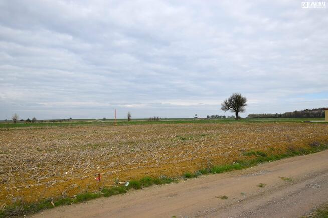 Działka budowlana Skrzynice Drugie gm. Jabłonna