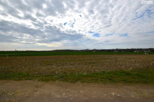 Działka budowlana Skrzynice Drugie gm. Jabłonna