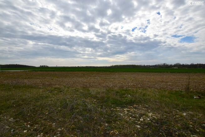 Działka budowlana Skrzynice Drugie gm. Jabłonna