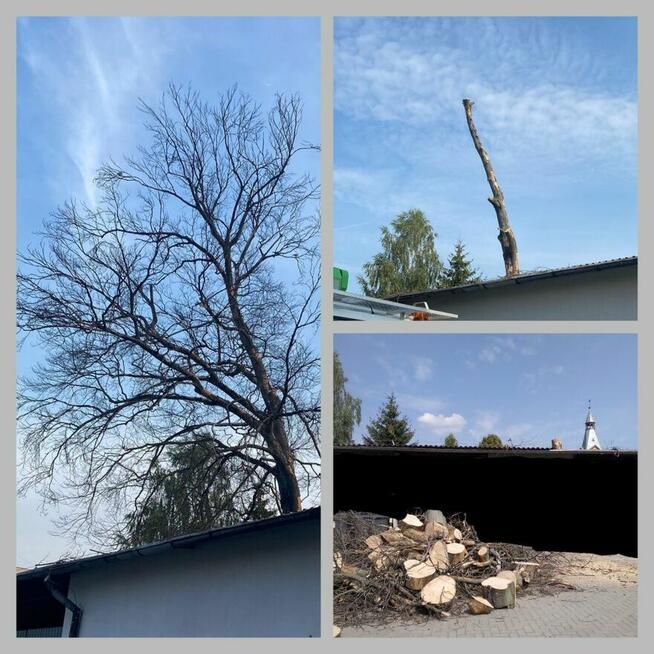 Wycinka Drzew, Podnośnik Koszowy, Prace Ogrodnicze,