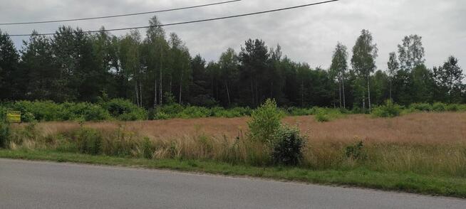 Sprzedam lub zamienię działki rolne i budowlane