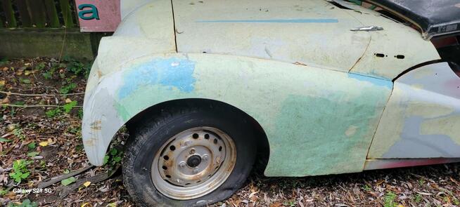 Volvo P1800 triumph TR 3 ford Mustang v8