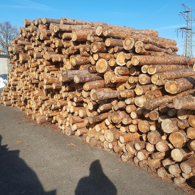 Drewno opałowe Wodzisław Śl ,Rybnik, Racibórz ,Jastrzębie Zd