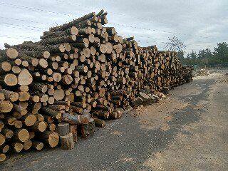 Drewno opałowe Wodzisław Śl ,Rybnik, Racibórz ,Jastrzębie Zd