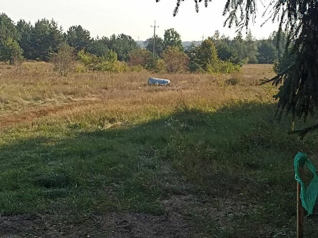 Sprzedam działkę inwestycyjną z warunkami zabudowy