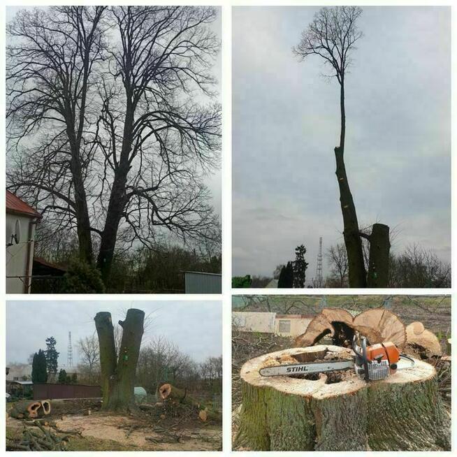 Wycinka oraz Pielęgnacja Drzew. Podnośnik Koszowy.