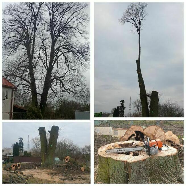 Wycinka Drzew, Podnośnik Koszowy, Prace Ogrodnicze,