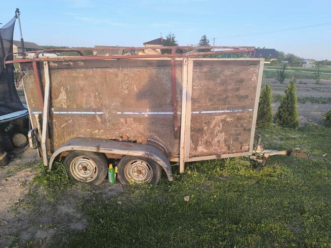 Przyczepa do przewozu konia 2osie i dojazdowym hamulcem