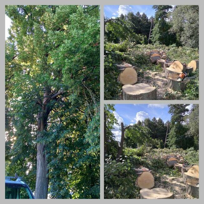 Wycinka Drzew, Podnośnik Koszowy, Prace Ogrodnicze,