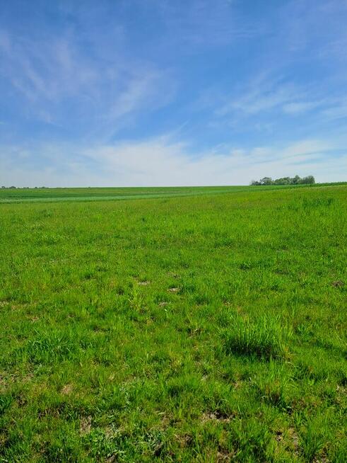 Działka BudowlanaStrożyska gmina Nowy Korczyn Busko Zdrój