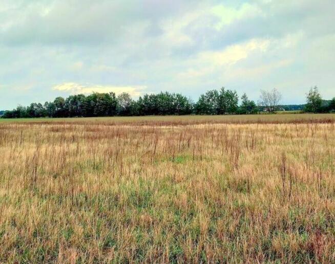 DZIAŁKA BUDOWLANA 1000 m² – BARUCHOWO, BEZ POŚREDNIKÓW