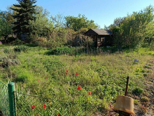 Ogródek działkowy ROD Jelcz 300 m2 + drzewa, kwiaty WROCŁAW