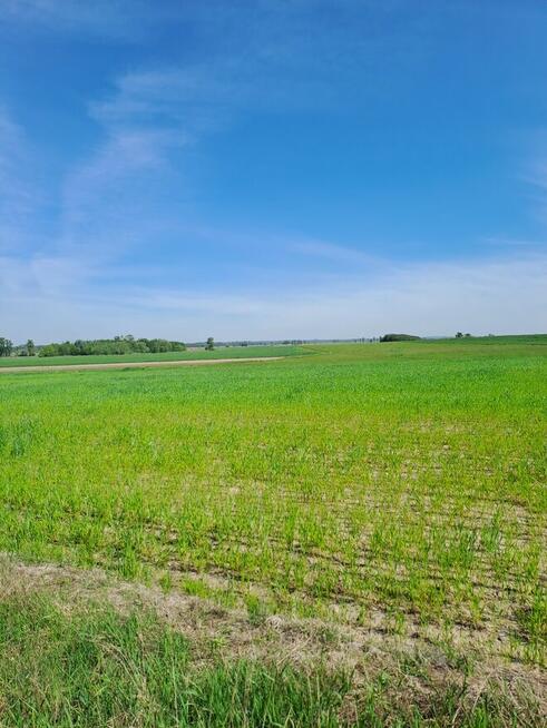 Działka BudowlanaStrożyska gmina Nowy Korczyn Busko Zdrój