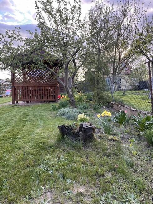 Sprzedam działkę Rod Jaćwing