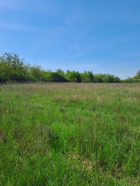 Działki Budowlane Strożyska NOWY Korczyn Busko Zdrój Media O