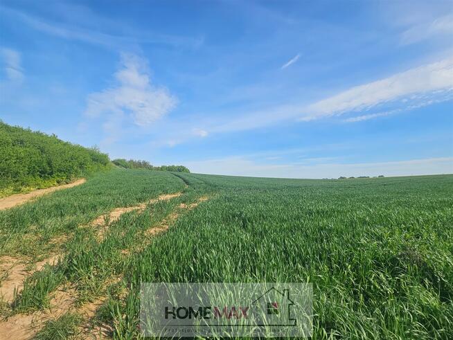 Działka usługowa Nowa Wieś Legnicka gm. Legnickie Pole