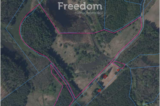 6,2 ha z trzema stawami – Lorki