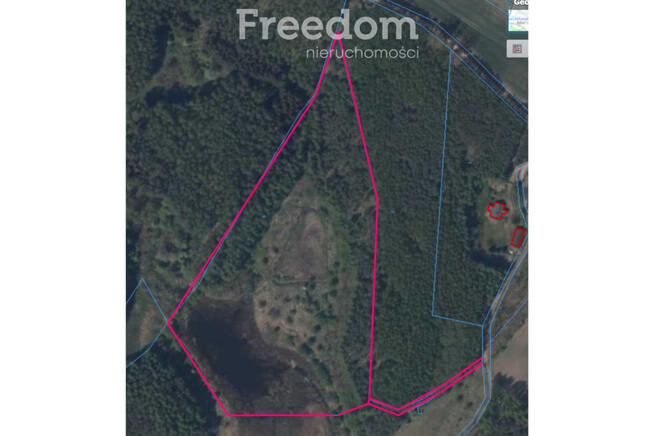 6,2 ha z trzema stawami – Lorki