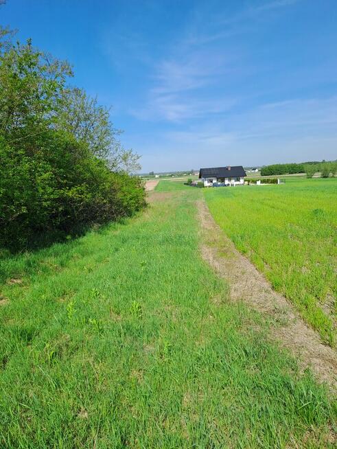 Działka BudowlanaStrożyska gmina Nowy Korczyn Busko Zdrój