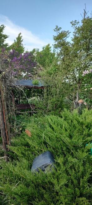 Sprzedam działkę rekreacyjną