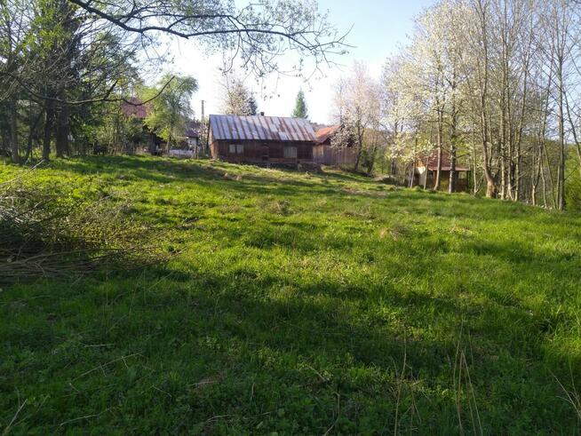 Działka w drodze na Leskowiec/Targoszow