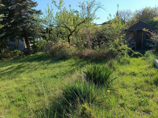 Ogródek działkowy ROD Jelcz 300 m2 + drzewa, kwiaty WROCŁAW