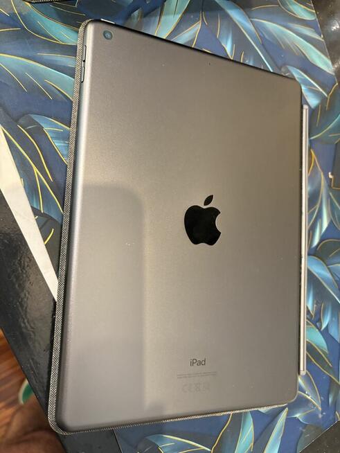 iPad