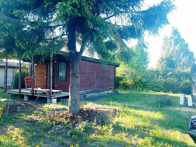 Ogródek Działkowy Działka ROD z domkiem blisko Warszawy