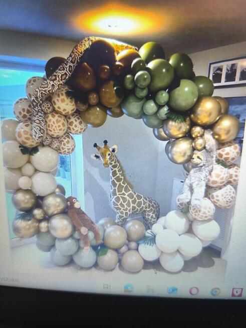 Zestaw balonów jungla ok 100 szt