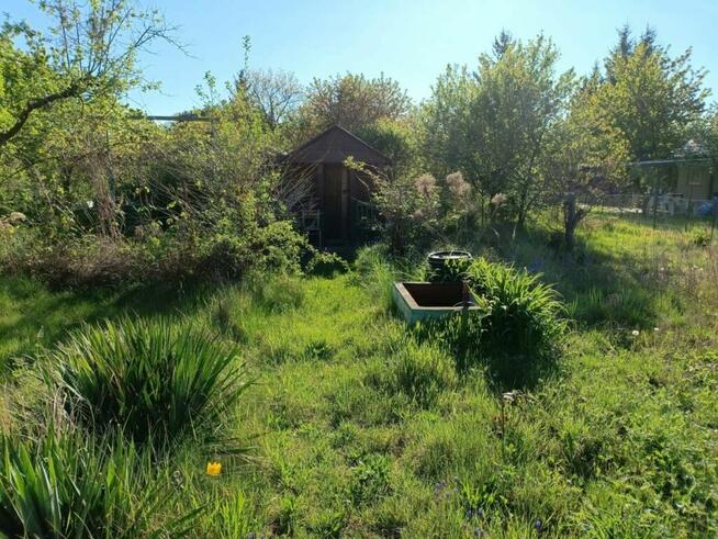 Ogródek działkowy ROD Jelcz 300 m2 + drzewa, kwiaty WROCŁAW