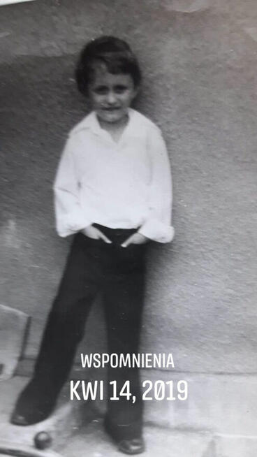 Szukam wdowy lub Panny