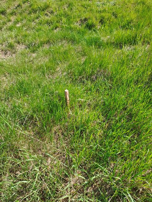 Działki Budowlane Strożyska NOWY Korczyn Busko Zdrój Media O