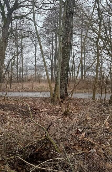 Działka z dostępem do jeziora, Mragowo, pod dom jednorodzinn