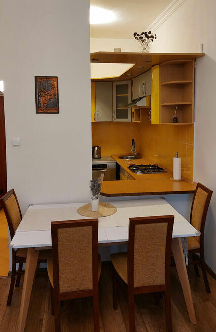 Wynajem mieszkanie 2 pokoje Krochmalna