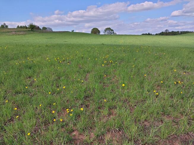 Sprzedam ziemię orną