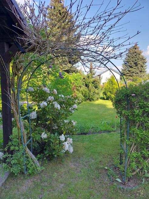 Działka rekreacyjna ROD Konin - Rumin