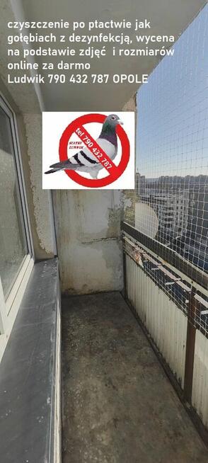 Czyszczenie sprzątanie po gołębiach