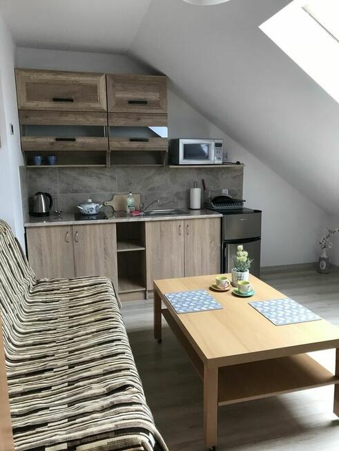 Mieszkanie do wynajęcia