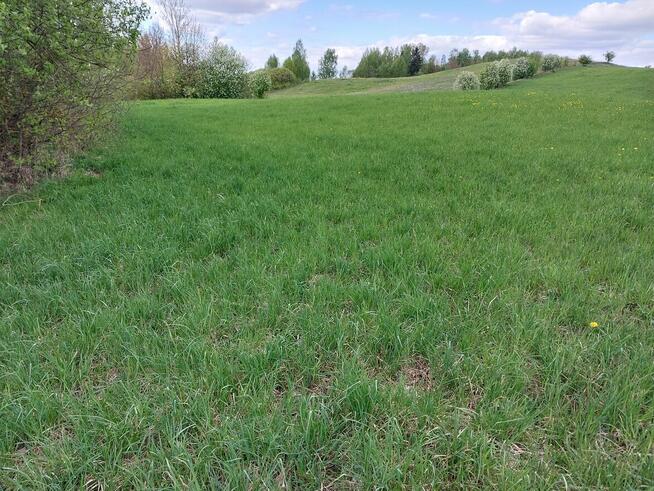 Sprzedam ziemię orną